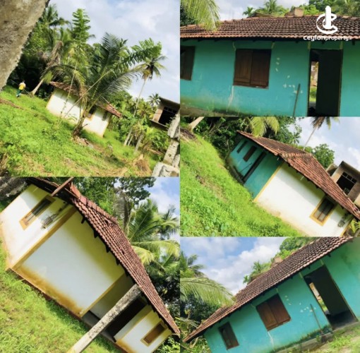 Land for Sale in Ibbagamuwa - Land for sale in ibbagamuwa - photo 1