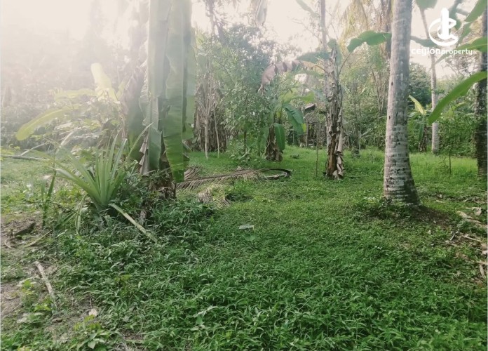 Land for Sale in Katunayake - Land for sale in katunayake - photo 1