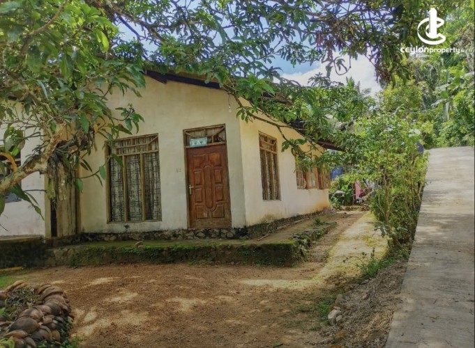 Land for Sale in Kuruwita - Land for sale in kuruwita - photo 2