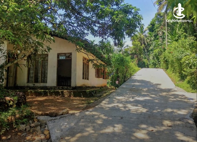 Land for Sale in Kuruwita - Land for sale in kuruwita - photo 3