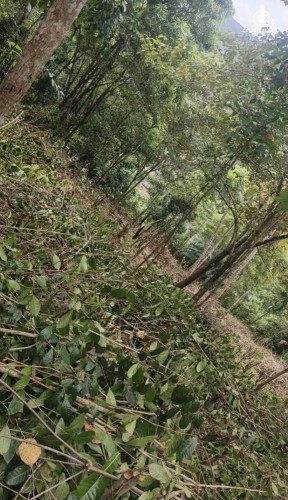 Land for Sale in Yatiyantota - Land for sale in yatiyantota - photo 1