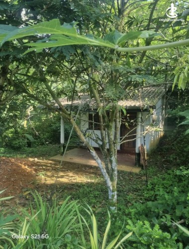 Land for Sale in Matugama - Land for sale in matugama - photo 3