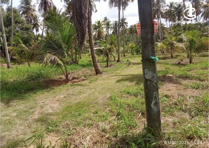 Land for Sale in Katupota - Land for sale in katupotha - photo 1