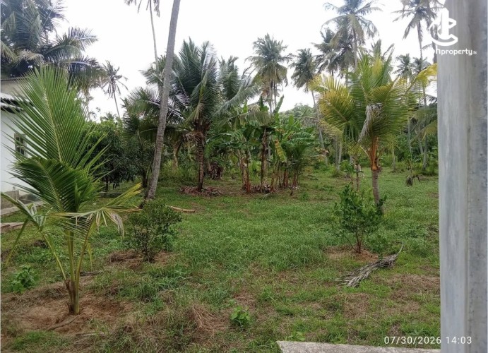 Land for Sale in Katupota - Land for sale in katupotha - photo 2
