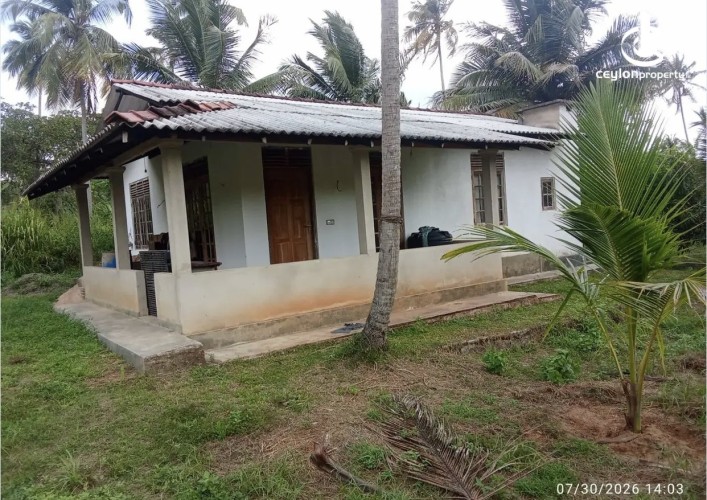 Land for Sale in Katupota - Land for sale in katupotha - photo 7
