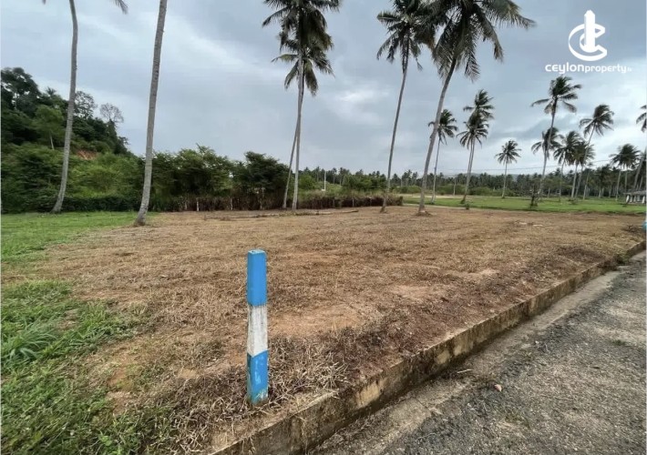 Land for Sale in Narammala - Land for Sale in Narammala - photo 1