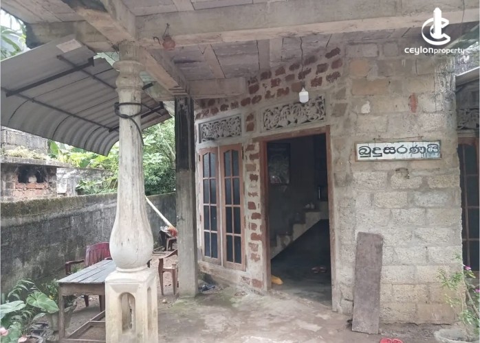 Land for Sale in Gampaha - Land for sale in gampaha - photo 1