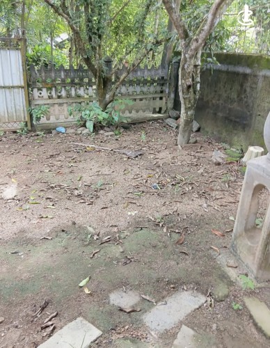 Land for Sale in Gampaha - Land for sale in gampaha - photo 5