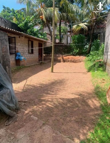 Land for Sale in Gampaha - Land for sale in gampaha - photo 2