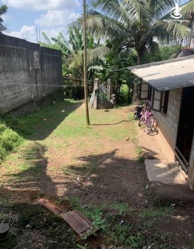 Land for Sale in Gampaha - Land for sale in gampaha - photo 3