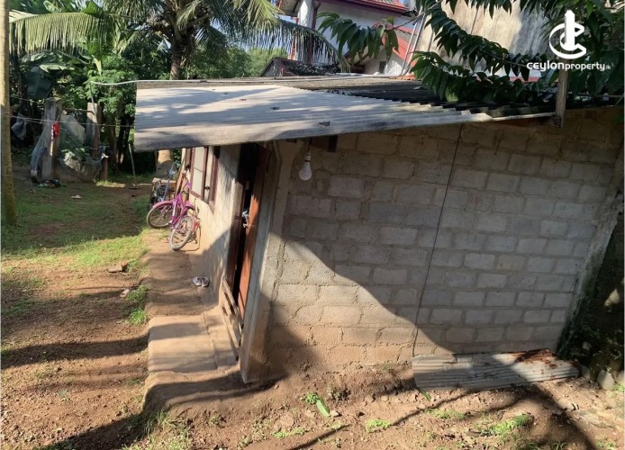 Land for Sale in Gampaha - Land for sale in gampaha - photo 4