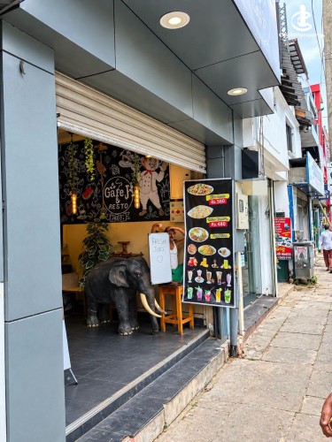 Commercial Property for Sale in Kandy - Commercial Space for sale in Kandy - photo 1