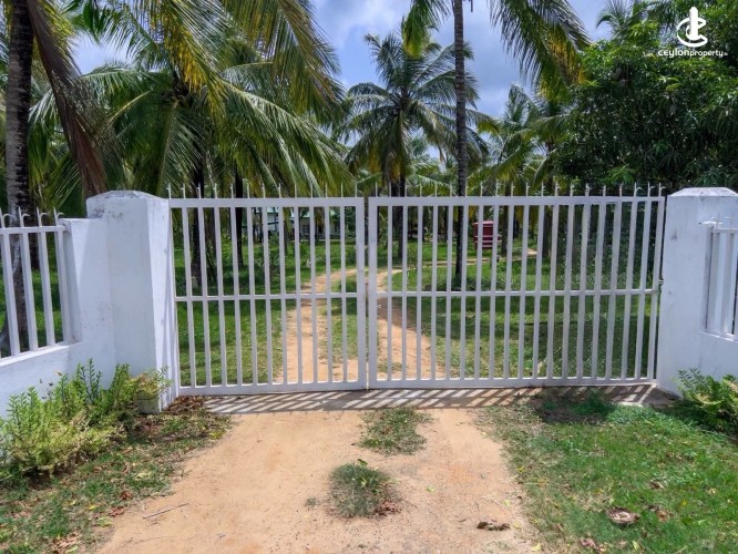 Land for Sale in Anamaduwa - Land for Sale in Anamaduwa - photo 1