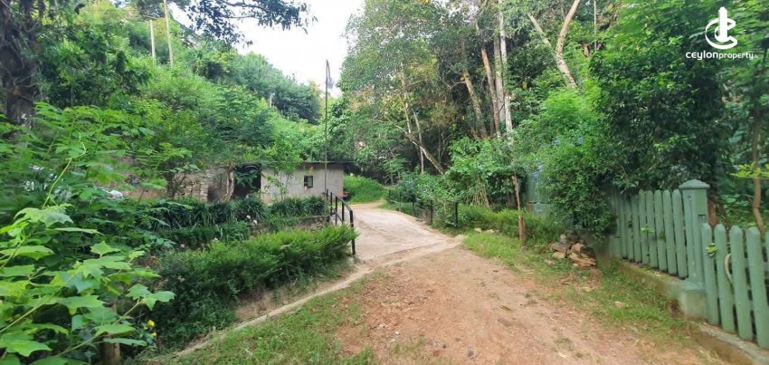 Land for Sale in Kandy - Land for Sale in Kandy - photo 1