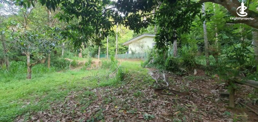 Land for Sale in Kandy - Land for Sale in Kandy - photo 3