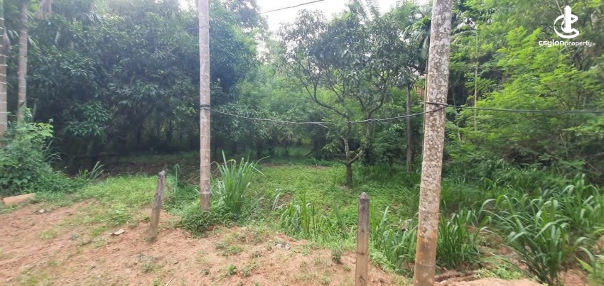 Land for Sale in Kandy - Land for Sale in Kandy - photo 4