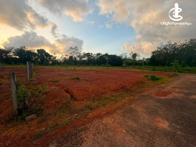 Land for Sale in Horana - Land for Sale in Horana - photo 1