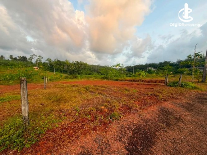 Land for Sale in Horana - Land for Sale in Horana - photo 2