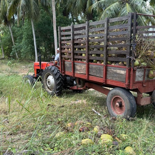 Land for Sale in Chilaw - Land for Sale in Chilaw - photo 5