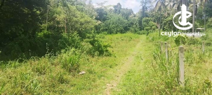 Land for Sale in Kurunegala - Land for Sale in Kurunegala - photo 6