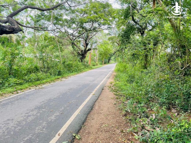 Land for Sale in Hambantota - Land for Sale in Hambantota - photo 1