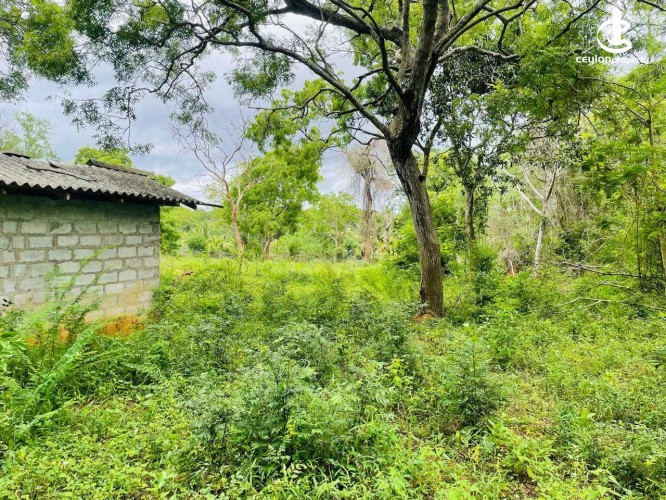 Land for Sale in Hambantota - Land for Sale in Hambantota - photo 3