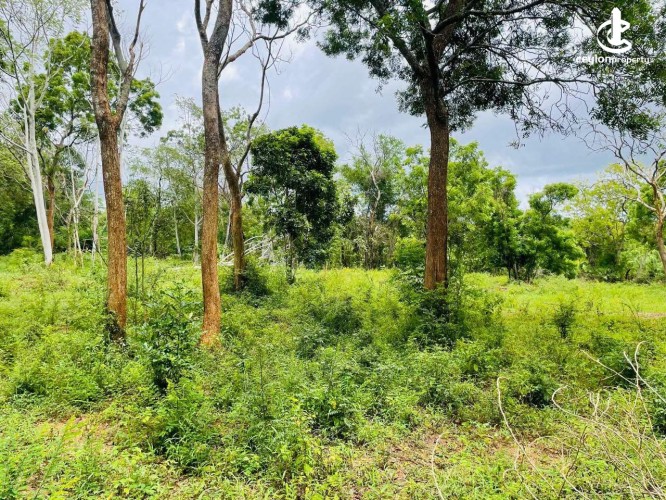 Land for Sale in Hambantota - Land for Sale in Hambantota - photo 6