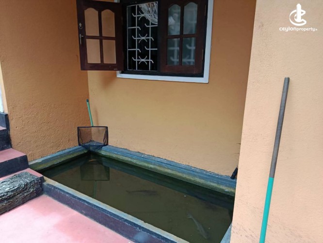 House for Sale in Galle - House for sale in Galle - photo 1