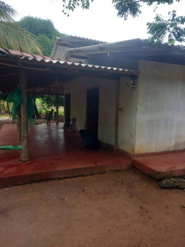 Land for Sale in Hambantota - Land for Sale in Hambantota - photo 3