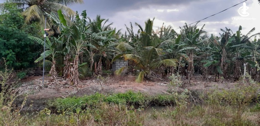 Land for Sale in Hambantota - Land for Sale in Hambantota - photo 9