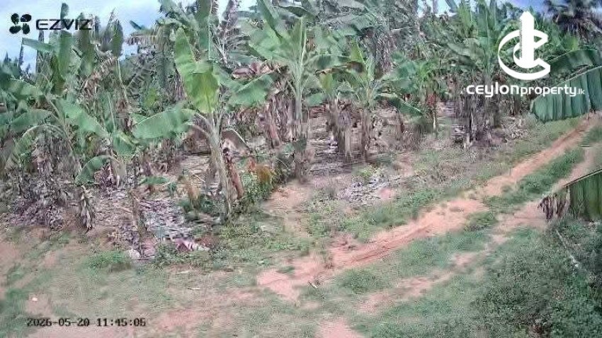 Land for Sale in Hambantota - Land for Sale in Hambantota - photo 7