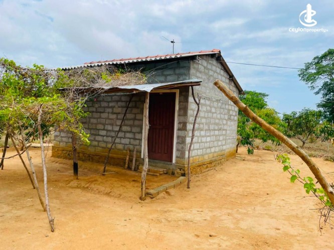 Land for Sale in Hambantota - Land for Sale in Hambantota - photo 5
