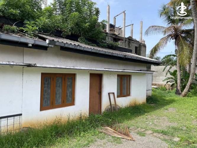 Land for Sale in Tangalla - Land for Sale in Tangalla - photo 2