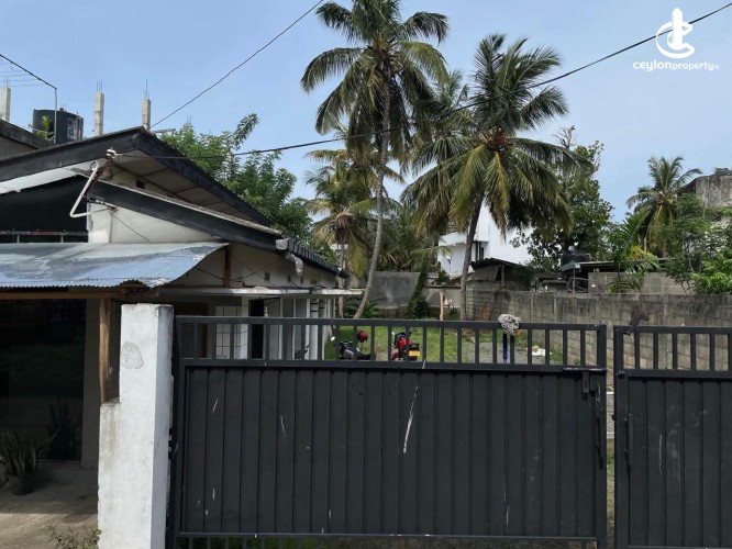 Land for Sale in Tangalla - Land for Sale in Tangalla - photo 3