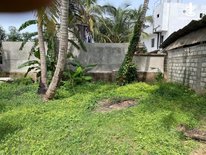 Land for Sale in Tangalla - Land for Sale in Tangalla - photo 4