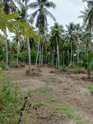Land for Sale in Tangalla - Land for Sale in Tangalla - photo 1