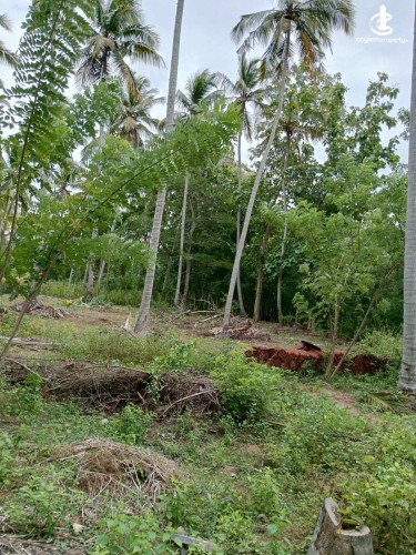 Land for Sale in Tangalla - Land for Sale in Tangalla - photo 4