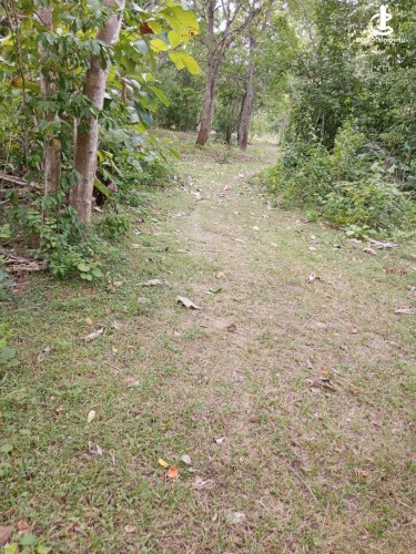 Land for Sale in Tangalla - Land for Sale in Tangalla - photo 5