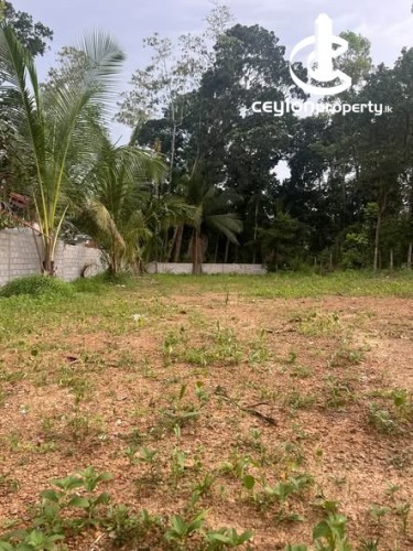 Land for Sale in Athurugiriya - Lands for Sale in Athurugiriya - photo 2