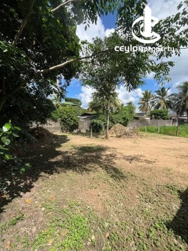 Land for Sale in Hokandara - 8 Perch Land for Sale – Hokandara - photo 2