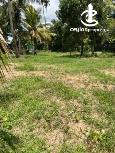 Land for Sale in Athurugiriya - Land for Sale Near Millennium City, Athurugiriya - photo 3