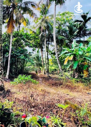 Land for Sale in Kurunegala - Land for Sale in Kurunegala - photo 1