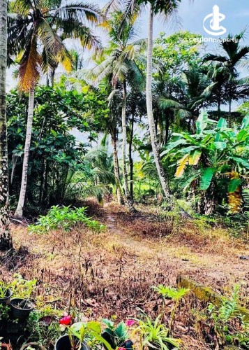 Land for Sale in Kurunegala - Land for Sale in Kurunegala - photo 3