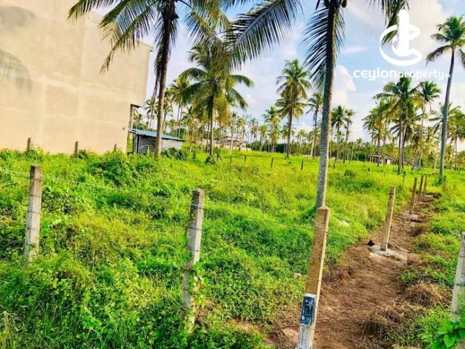 Land for Sale in Kurunegala - Land for Sale in Kurunegala - photo 1