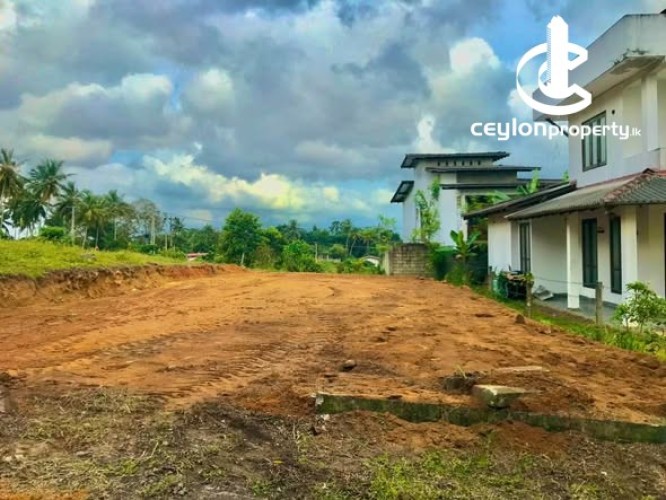Land for Sale in Horana - Land for Sale in Horana - photo 3