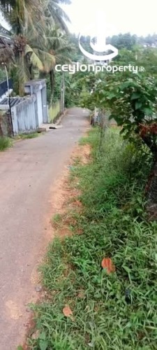 Land for Sale in Thalawathugoda - Land for Sale in Thalawathugoda - photo 2
