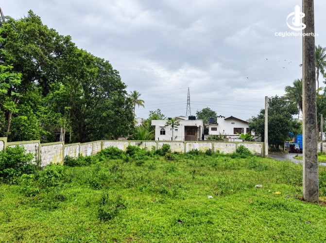 Land for Sale in Badulla - Land for Sale in Badulla - photo 2