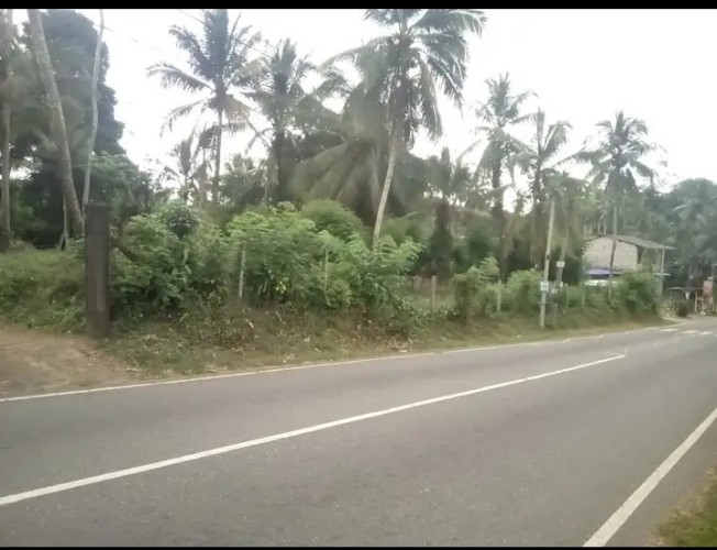 Land for Sale in Gampaha - Land for Sale in Gampha - photo 6