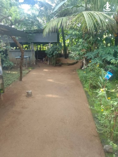 House for Sale in Kalutara - House for sale in Kalutara - photo 4