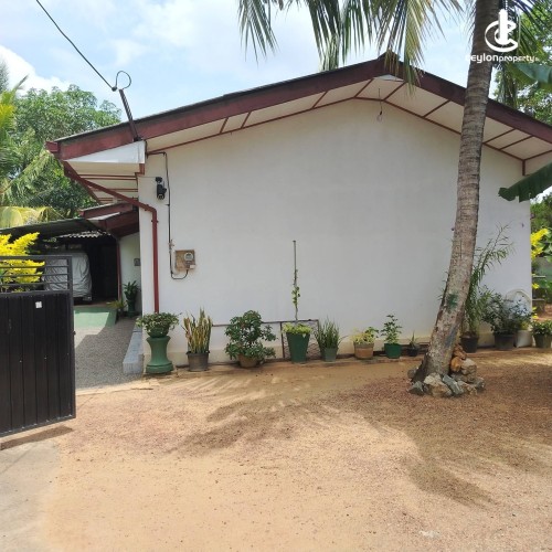 House for Sale in Kandana - House for sale in Kandana - photo 2